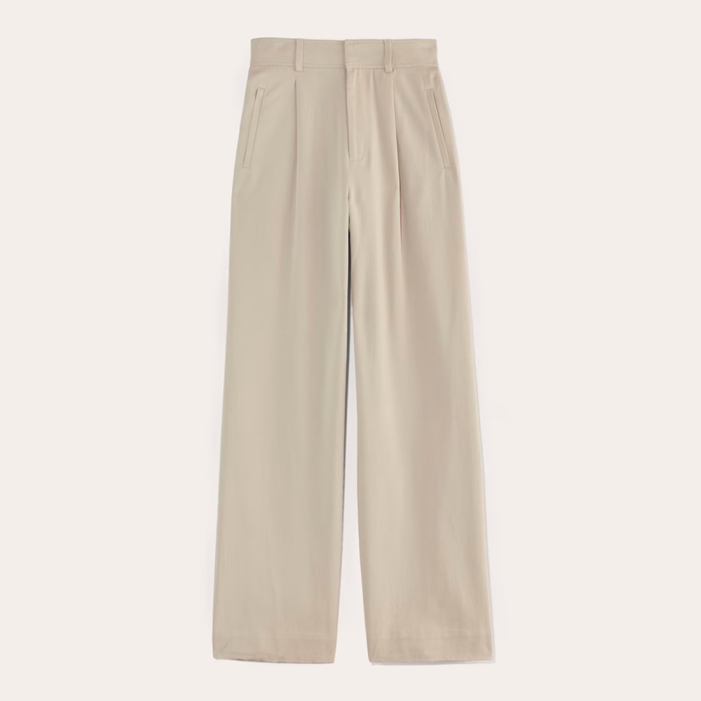 Everlane the Draper pleated pant in buttersmooth tan